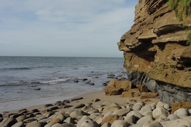 Hidden Nature Walks in the City Private Tour - Tour Requirements