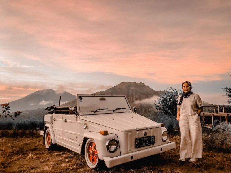 Hidden Paradise In Vintage Volkswagen - Important Information