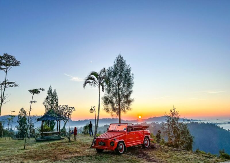 Hidden Paradise In Vintage Volkswagen - Customer Feedback