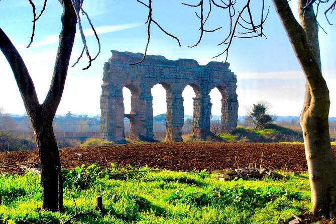 Hidden Rome - Private Tour With Driver - Transportation and Accessibility