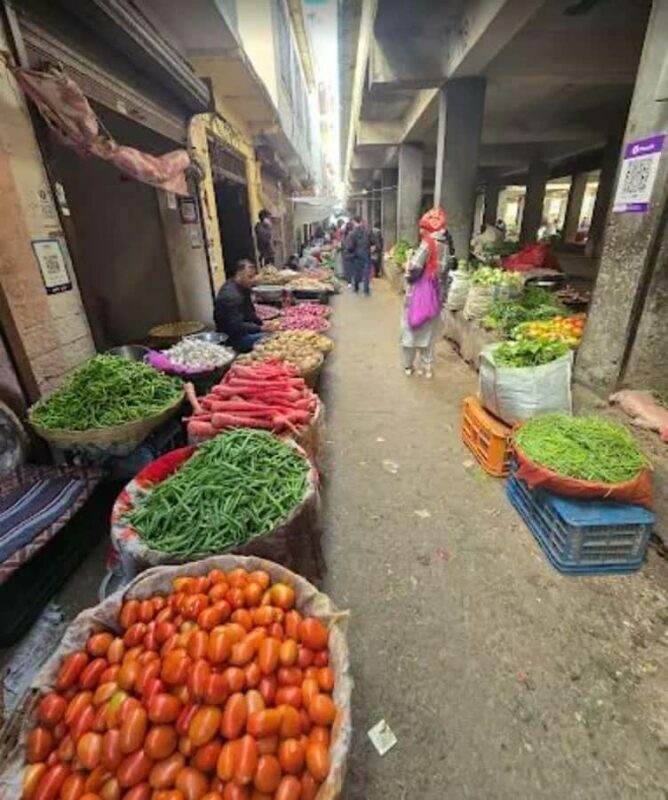 Hidden side of Udaipur : City walk with Mitali - The Value of Authentic Encounters