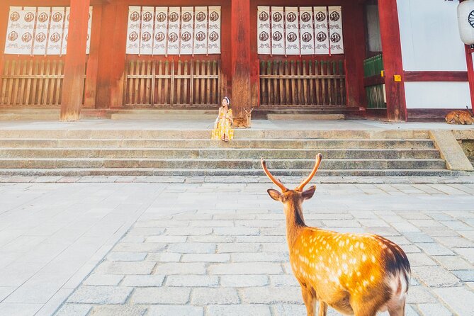 Hidden Temples in Kyoto a Self-Guided Zen Tour - Cancellation and Payment