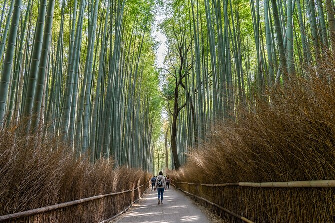 Hidden Temples in Kyoto a Self-Guided Zen Tour - Immerse Yourself in Zen Tranquility