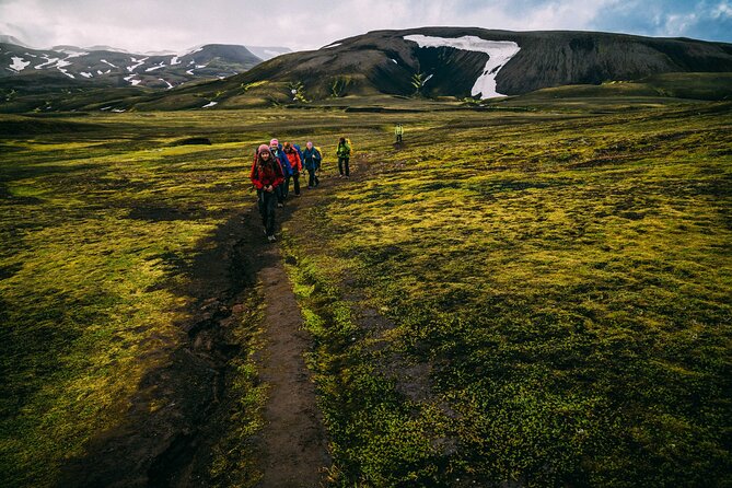 Hidden Trails of Iceland - Accommodation and Dining