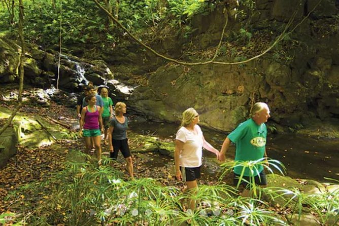 Hidden Valley Falls Kayak and Kauai Hike Adventure - Hike to Hidden Falls