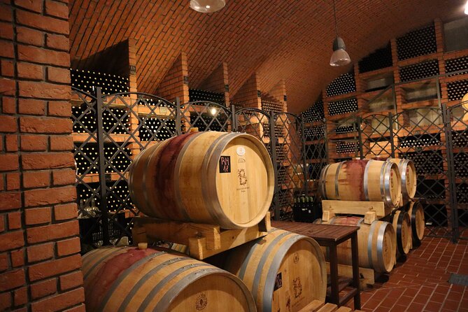 Hidden Vineyards and Private Winery Tour in Prague - Tour Accessibility