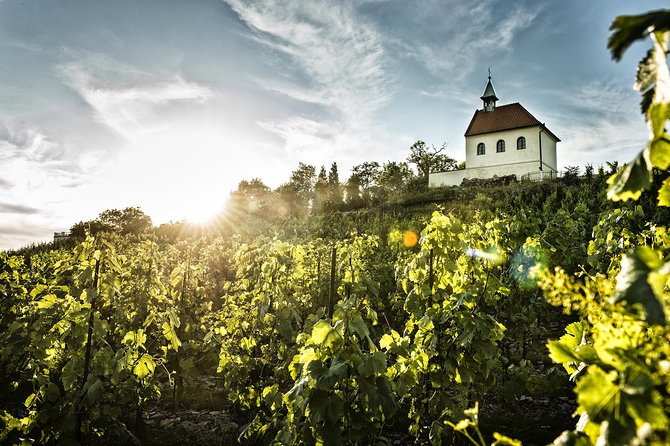 Hidden Vineyards and Private Winery Tour in Prague - Guest Reviews