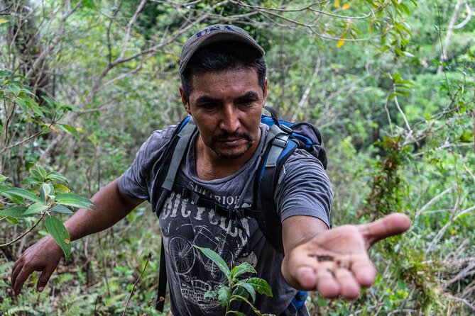Hidden Waterfall Guided Tour in El Imposible National Park - Location and Ratings
