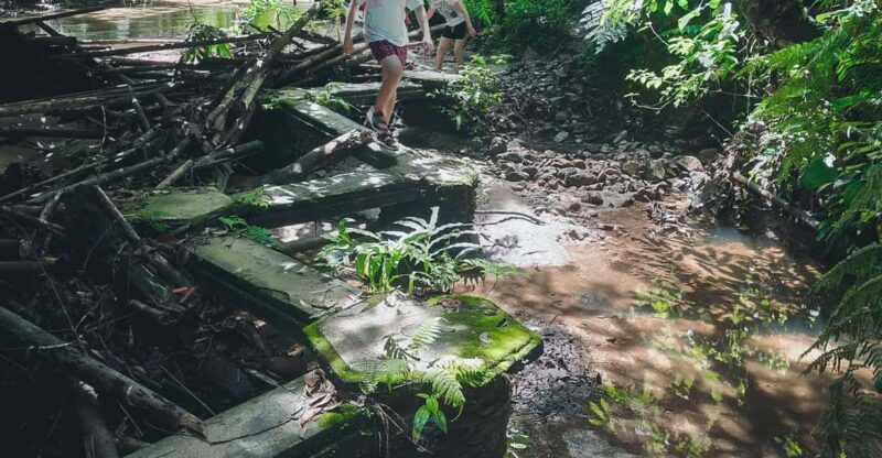 Hidden Waterfall Hiking Adventure - Key Points
