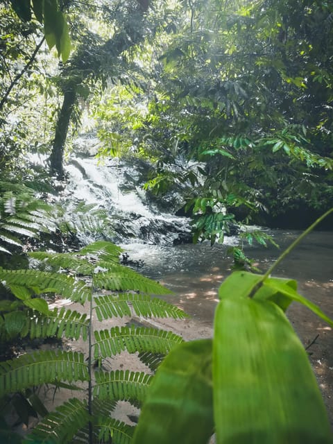 Hidden Waterfall Hiking Adventure - Important Information