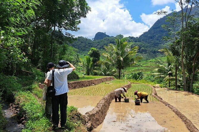 Hidden Waterfall & Selogriyo Rice Terraces Trek from Yogyakarta - An In-Depth Look at the Tour Experience