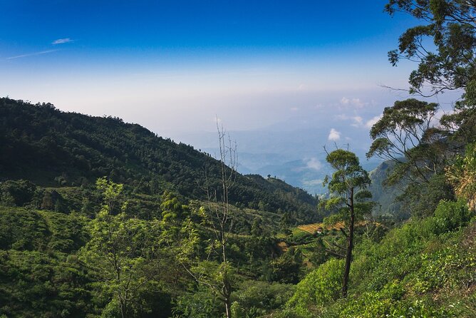 Hidden Waterfalls Private Day Hike With Lunch From Ella  - Nuwara Eliya - Nearby Attractions and Popular Tours