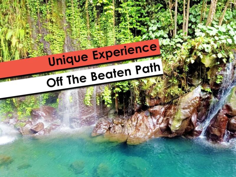 Hidden Waterfalls & Untouched Nature: 1-D All Inclusive - Itinerary Highlights
