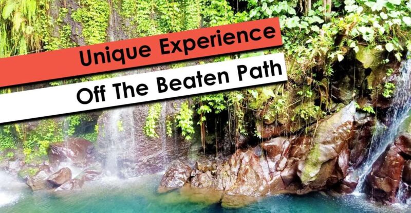 Hidden Waterfalls & Untouched Nature: 1-D All Inclusive - Train Information