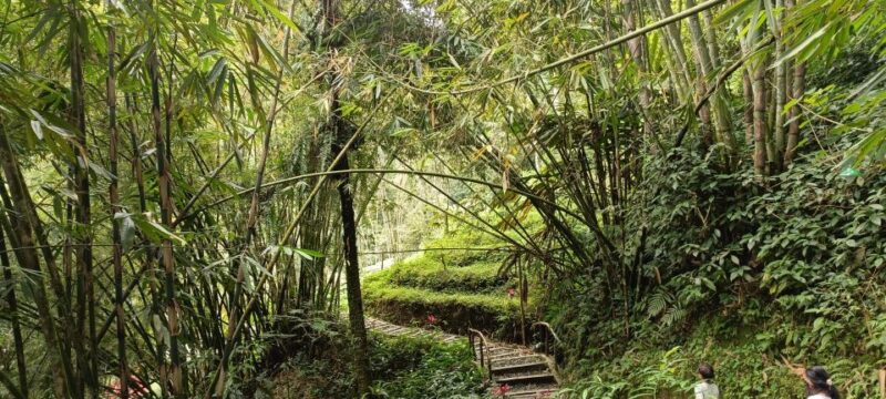 Hidden Waterfalls & Untouched Nature: 1-D All Inclusive - Transportation Details