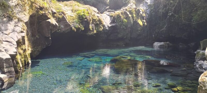 Hidden Waterfalls & Untouched Nature: 1-D All Inclusive - Tour Inclusions