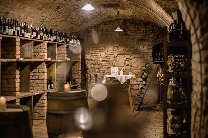 Hidden Wine Cellars Vienna - on the Tracks of the Viennese Wines - Tour Experience