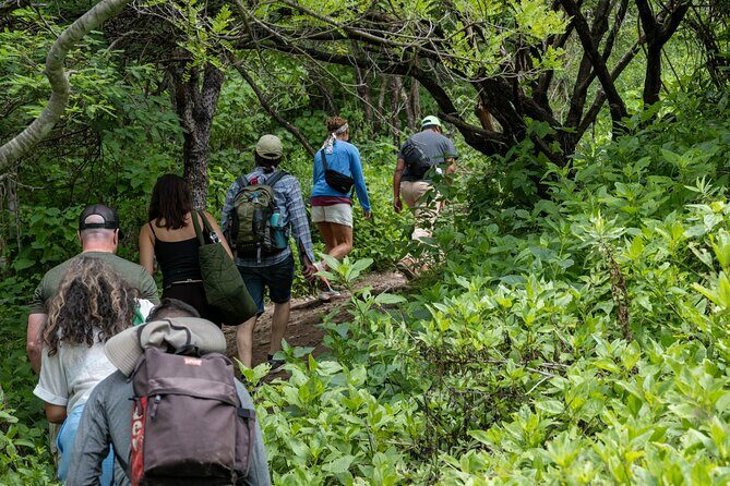 Hierve el Agua Half-Day: Early Access & Personal Guide + Pickup - Practical Tips and Considerations