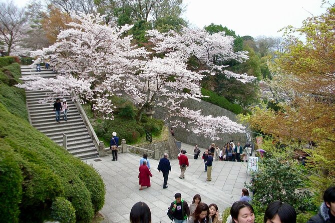 Higashiyama Kiyomizudera and Yasaka Shrine Discovery Walking Tour - Meeting and End Points