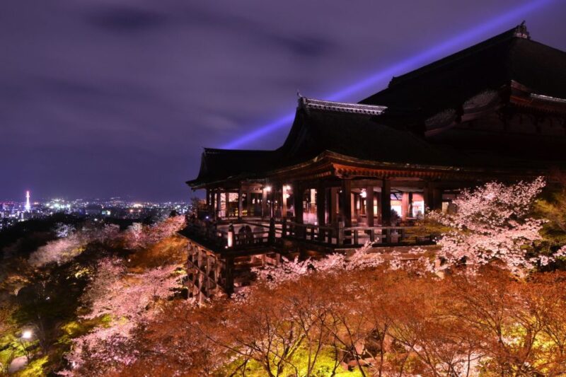 Higashiyama | Kyoto: Sakura Season Private Rickshaw Tour - Experience Highlights