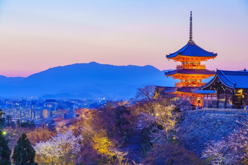 Higashiyama | Kyoto: Sakura Season Private Rickshaw Tour - Tour Capacity and Accessibility