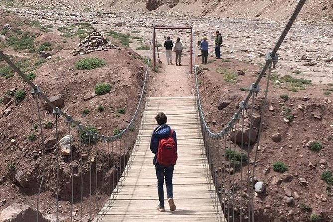 High Andes With Trekking to Quebrada Del Durazno - Tour Overview