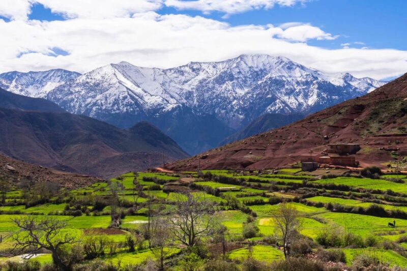 High Atlas Mountains and 5 Valleys Day Trip From Marrakech - Inclusions