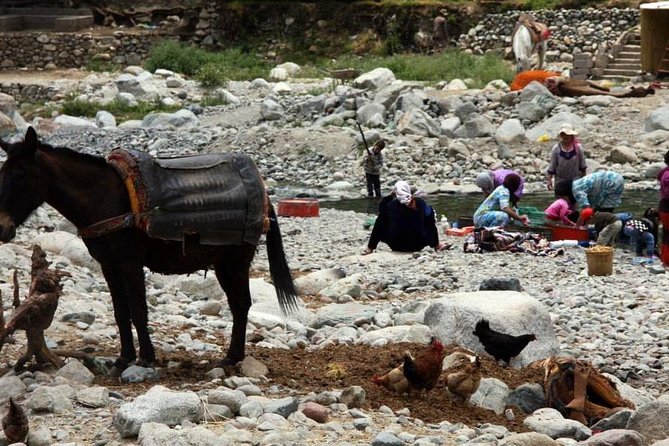 High Atlas Mountains Day Trip - Meeting and Pickup Details