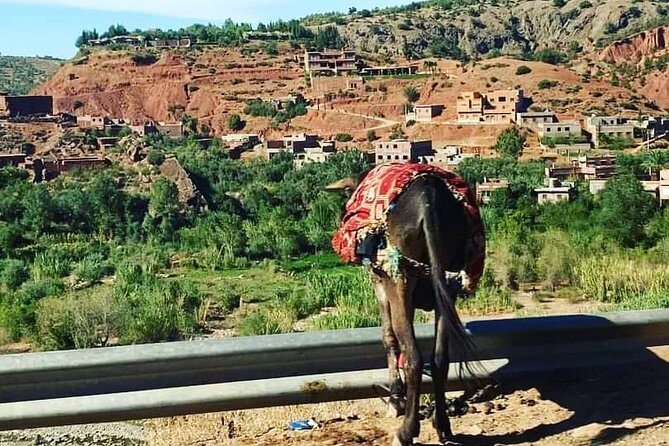 High Atlas Mountains Day Trip - Tips for Your Trip
