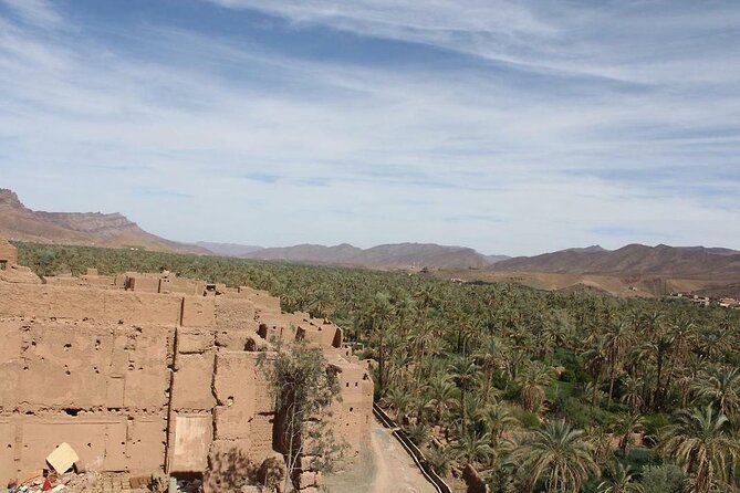High Atlas Mountains Day Visit Ourika Valley & Setti Fatma - Local Cuisine and Culture