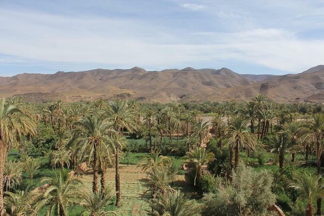 High Atlas Mountains Day Visit Ourika Valley & Setti Fatma - Preparing for Your Adventure