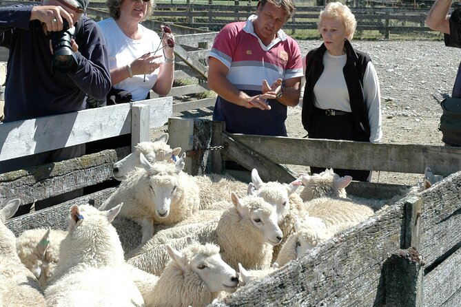 High Country Discovery Tour From Queenstown - Cancellation and Pricing