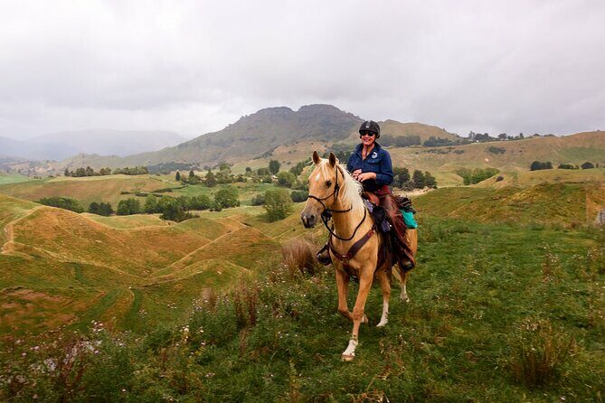 High Country Enchantment Full-Day Horse Trek - An In-Depth Look at the High Country Enchantment Horse Trek