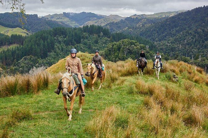 High Country Enchantment Full-Day Horse Trek - FAQ