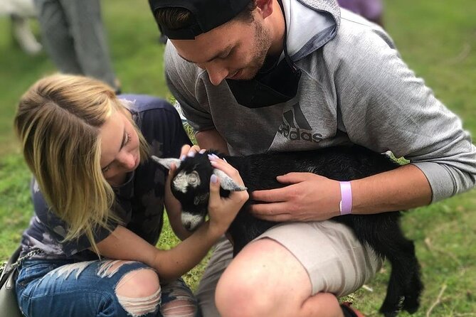 High Goat Jumble in Ontario - Family-Friendly Meet-and-Greet