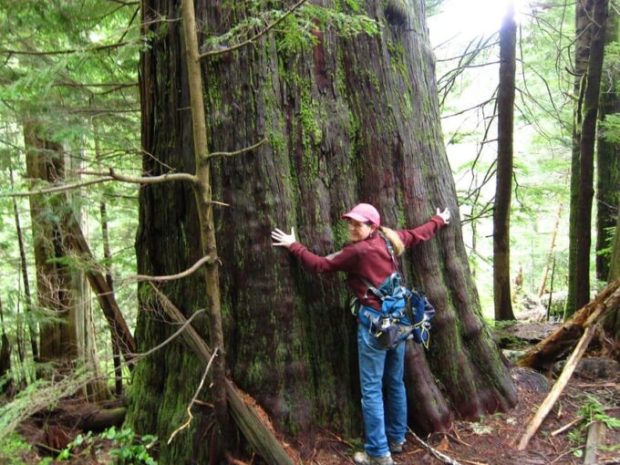 High Impact Nature Hiking at Hethere Lake From Seattle - Meeting Point