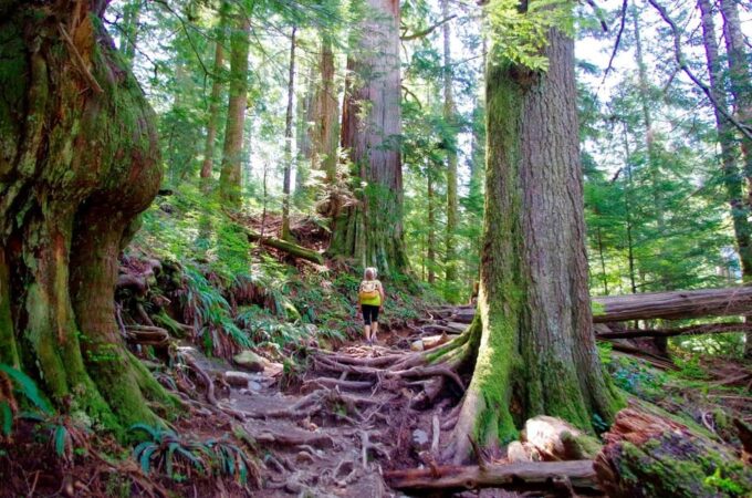 High Impact Nature Hiking at Hethere Lake From Seattle - Transportation