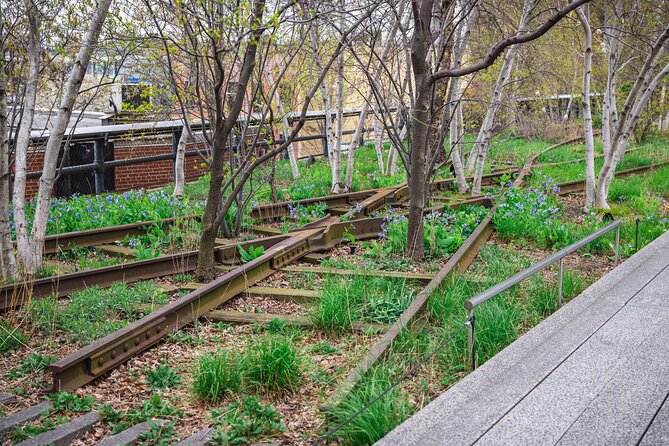 High Line and Chelsea Market 3 Hour Private Tour - Tour Duration and Scheduling