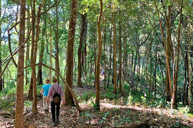 High Mountain Day Trek - Inclusions and Amenities