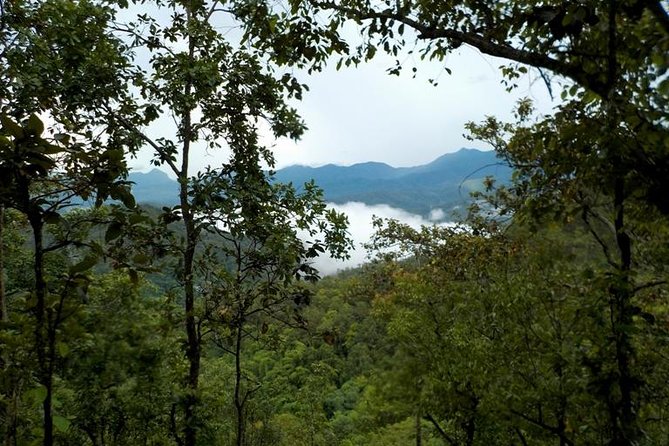 High Mountain Day Trek - Booking and Cancellation Policy