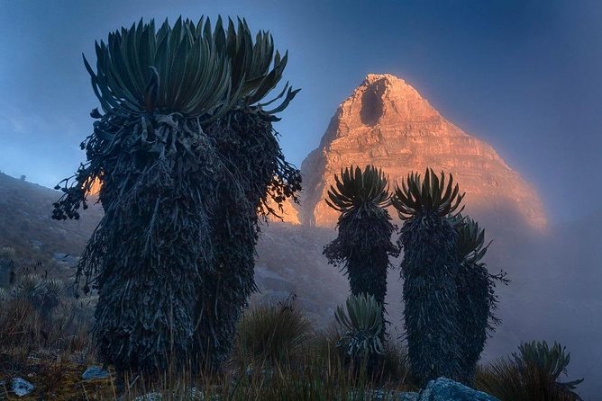 High Mountain Trekking: Sierra Nevada Del Cocuy. - Tour Cancellation Policy