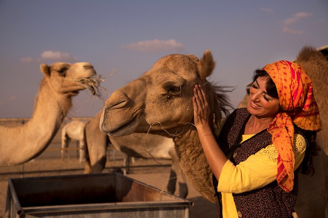 High Red Dunes With Camel Ride, Sandboarding, Falcon Show and VIP BBQ Dinner - Exclusions in the Package
