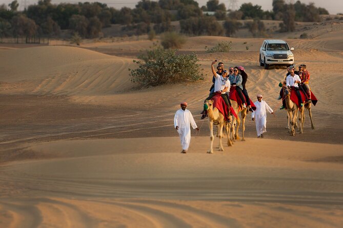 High Red Dunes With Camel Ride, Sandboarding, Falcon Show and VIP BBQ Dinner - Additional Information for Travelers