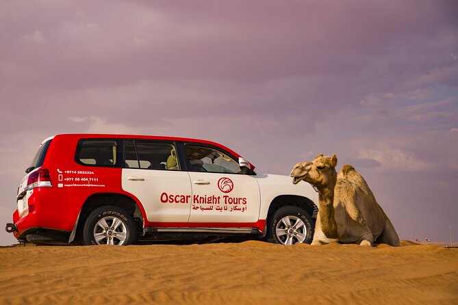 High Red Dunes With Camel Ride, Sandboarding, Falcon Show and VIP BBQ Dinner - Delicious Open BBQ Dinner Buffet