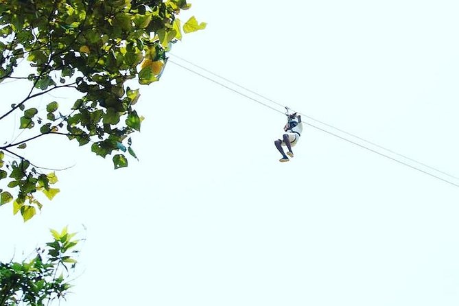 High Ropes Course in Madikeri - Operating Hours and Meeting Point