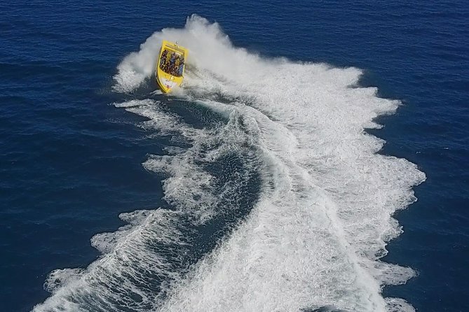 High Speed Harbor Tour From Charlotte Amalie Cruise Port - Meeting and Pickup Information