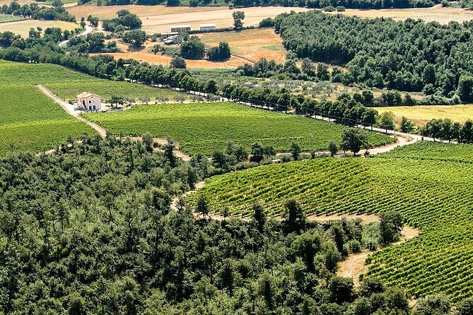 High Tuscia Ebike Tour With Visit to Antica Cantina Leonardi - About Your Stay