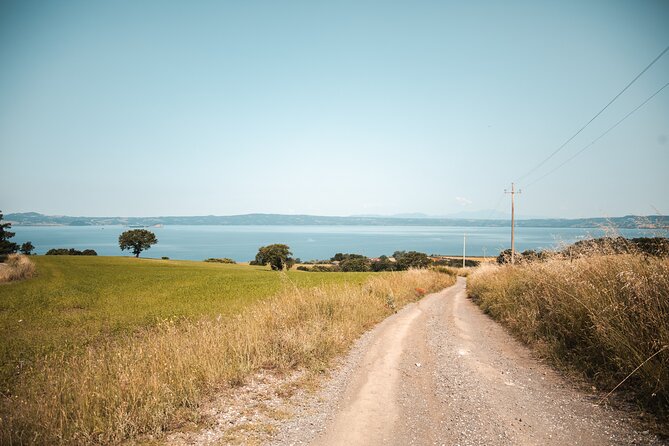 High Tuscia Ebike Tour With Visit to Antica Cantina Leonardi - Meeting and Contact Information