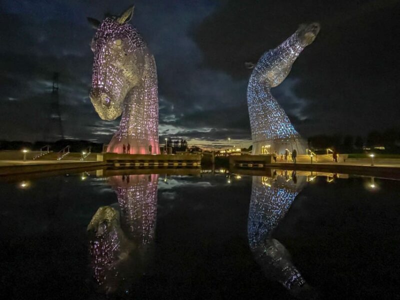Highland Cows, Walk Alpacas & Scottish Wildlife Centre - Inclusions