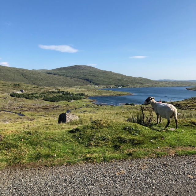 Highland Hidden Gems: Quaint Villages & Highland Cows - Important Information